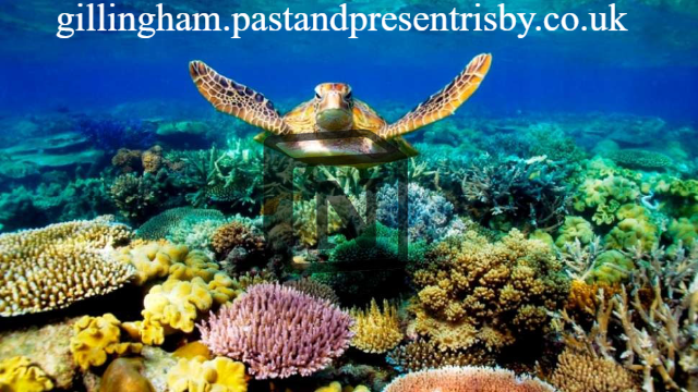 Menyelami Keindahan Dunia Bawah Laut di Pantai Bahari