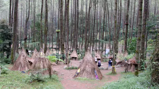 Menyelami Pesona Bukit Sekipan Tawangmangu
