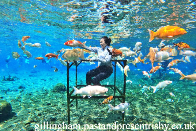 Desa Ponggok Klaten: Wisata dan Pesona Lokal